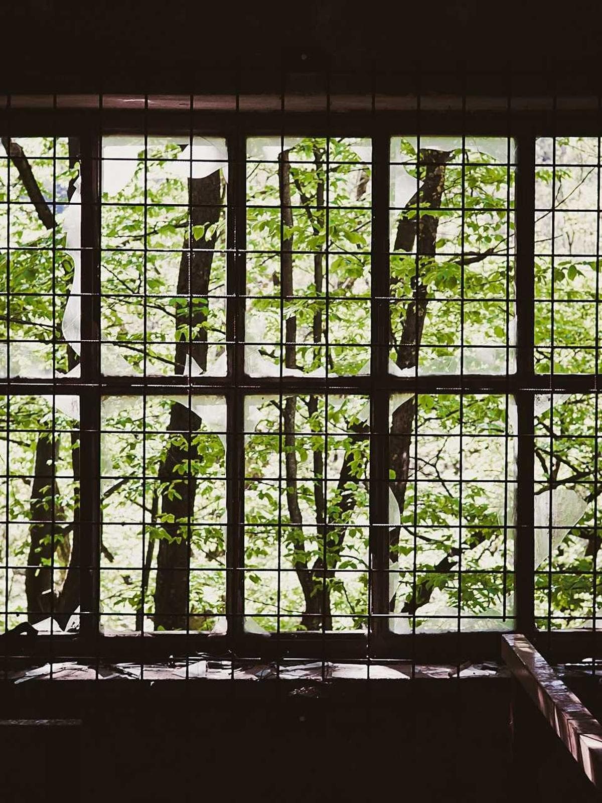 Tall steel-framed window grid inside a dark industrial hall